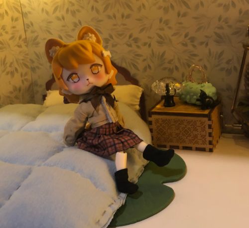 Customer photo review of School of Fancies BJD Blind Box