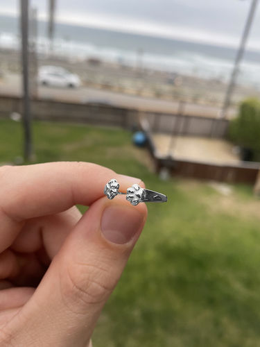 Customer photo review of The Paw Hug Ring™ - Forever in Our Hearts