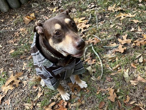 Customer photo review of Playa Poncho - Surprise Color