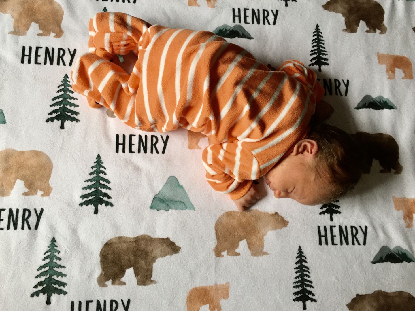 Customer photo review of Bears and Mountains Personalized Baby Blanket