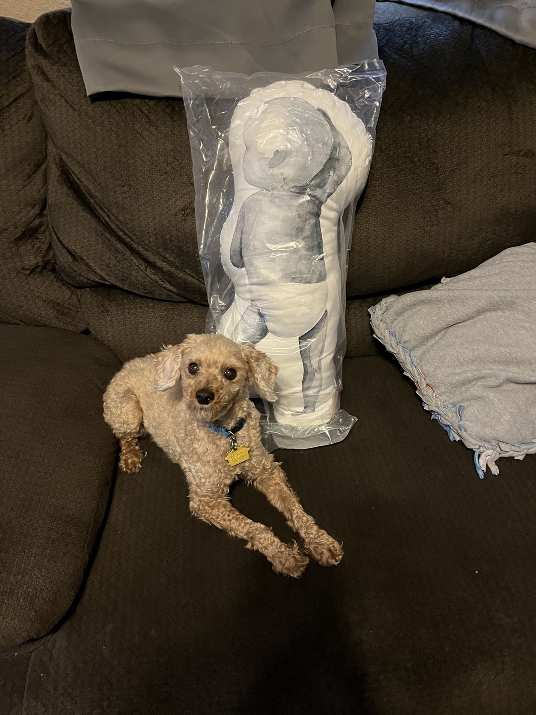 Customer photo review of Birth Pillow Watercolor Two