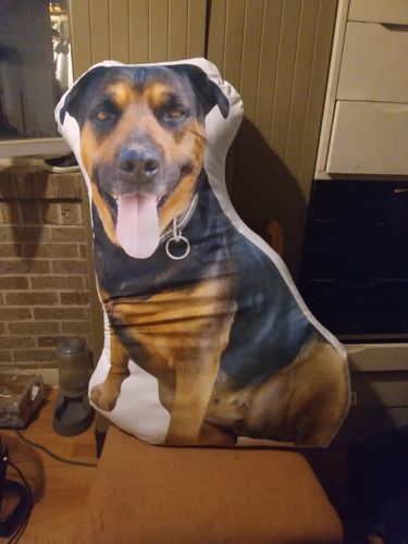Customer photo review of Create A Custom Dog Pillow