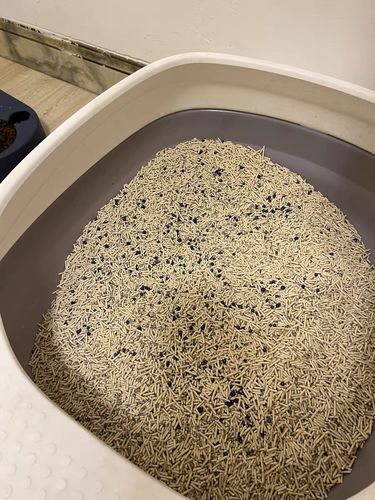 Customer photo review of Michu Mixed Tofu Cat Litter, Heavy Duty Flushable Kitty Litter