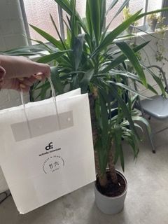 Customer photo review of AC x Feast Flow Yoga Brunch Event