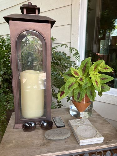 Customer photo review of Ceramic Self-watering Pot Planter - Set of 1