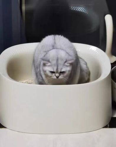 Customer photo review of Michu Macaron High Edge Open Style Extra Large Cat Litter Box, Scoop Included