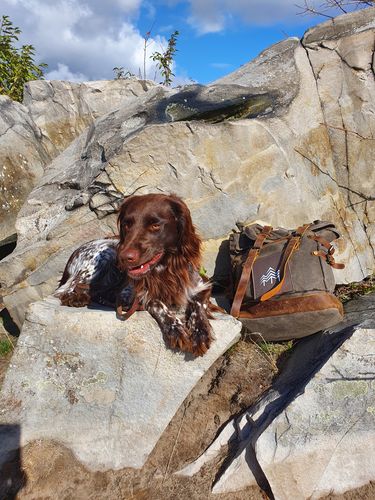 Customer photo review of Rucksack Mit Patch / Olivgrau (🌲)