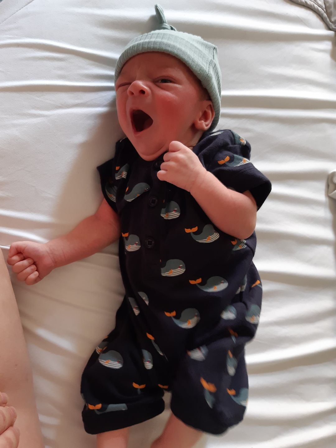 Customer photo review of Whale Song Organic Romper Playsuit