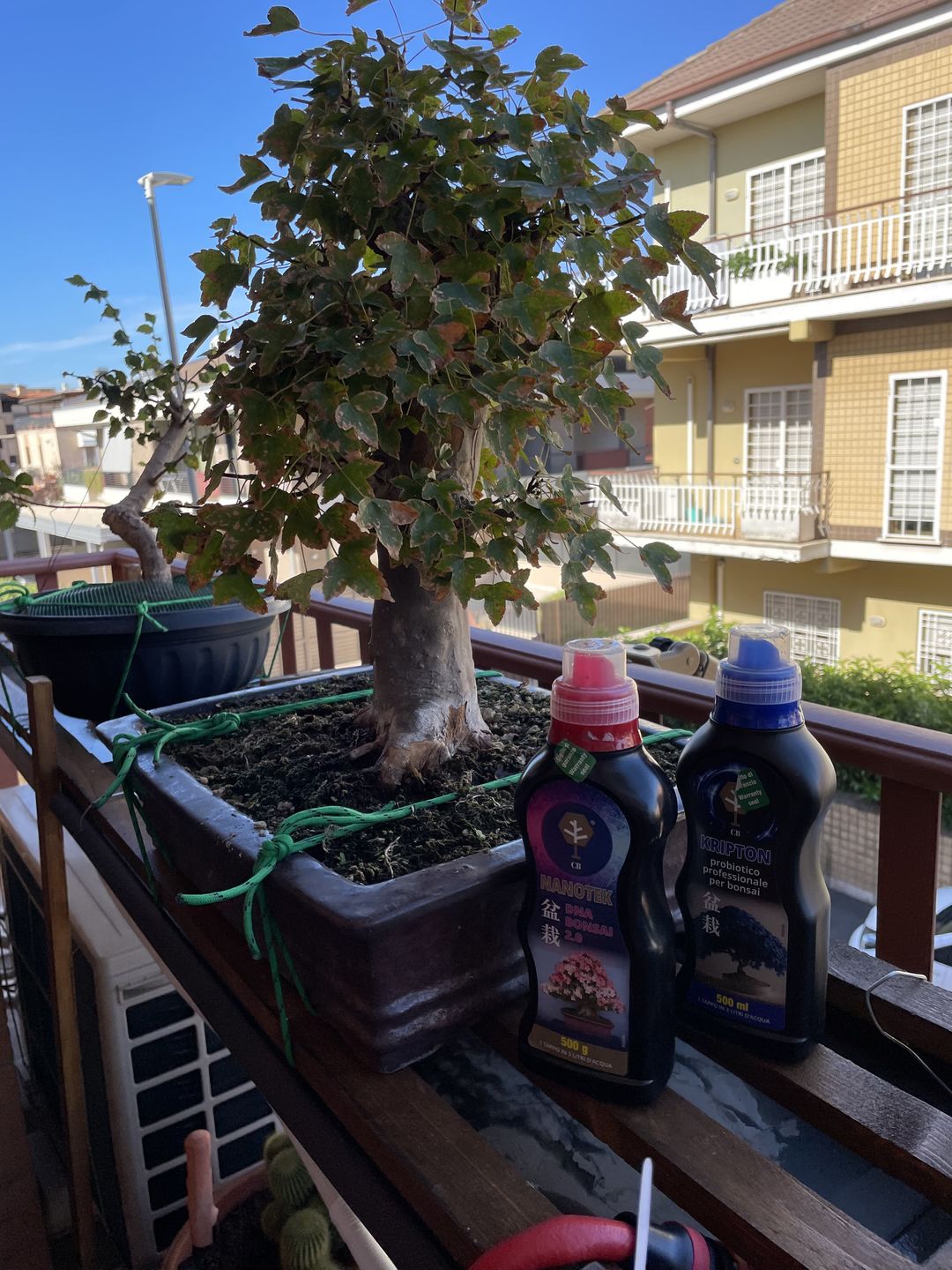 Customer photo review of AUTUNNO NUCLEARE PACK