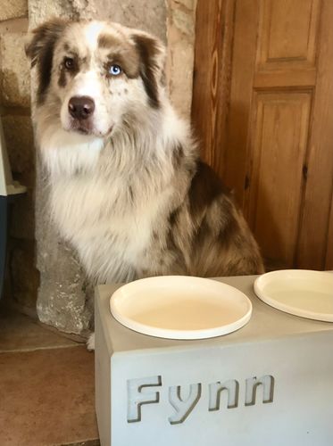 Customer photo review of Futterstation PATERA DUO Personalisiert