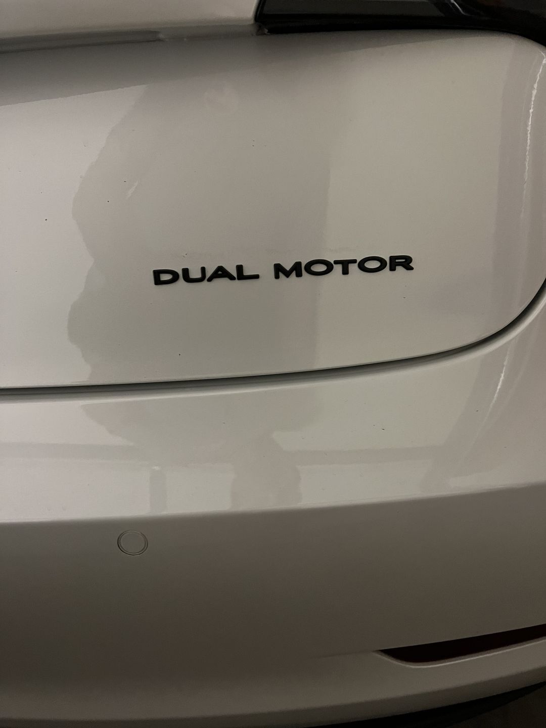 Customer photo review of DUAL MOTOR EMBLEM TESLA (5 COLOR OPTIONS)