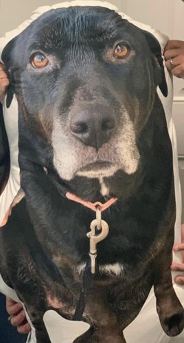 Customer photo review of Create A Custom Dog Pillow