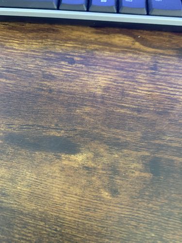 Customer photo review of Lactobacillus Reuteri NCIMB 30242 | Microbiome Plus+