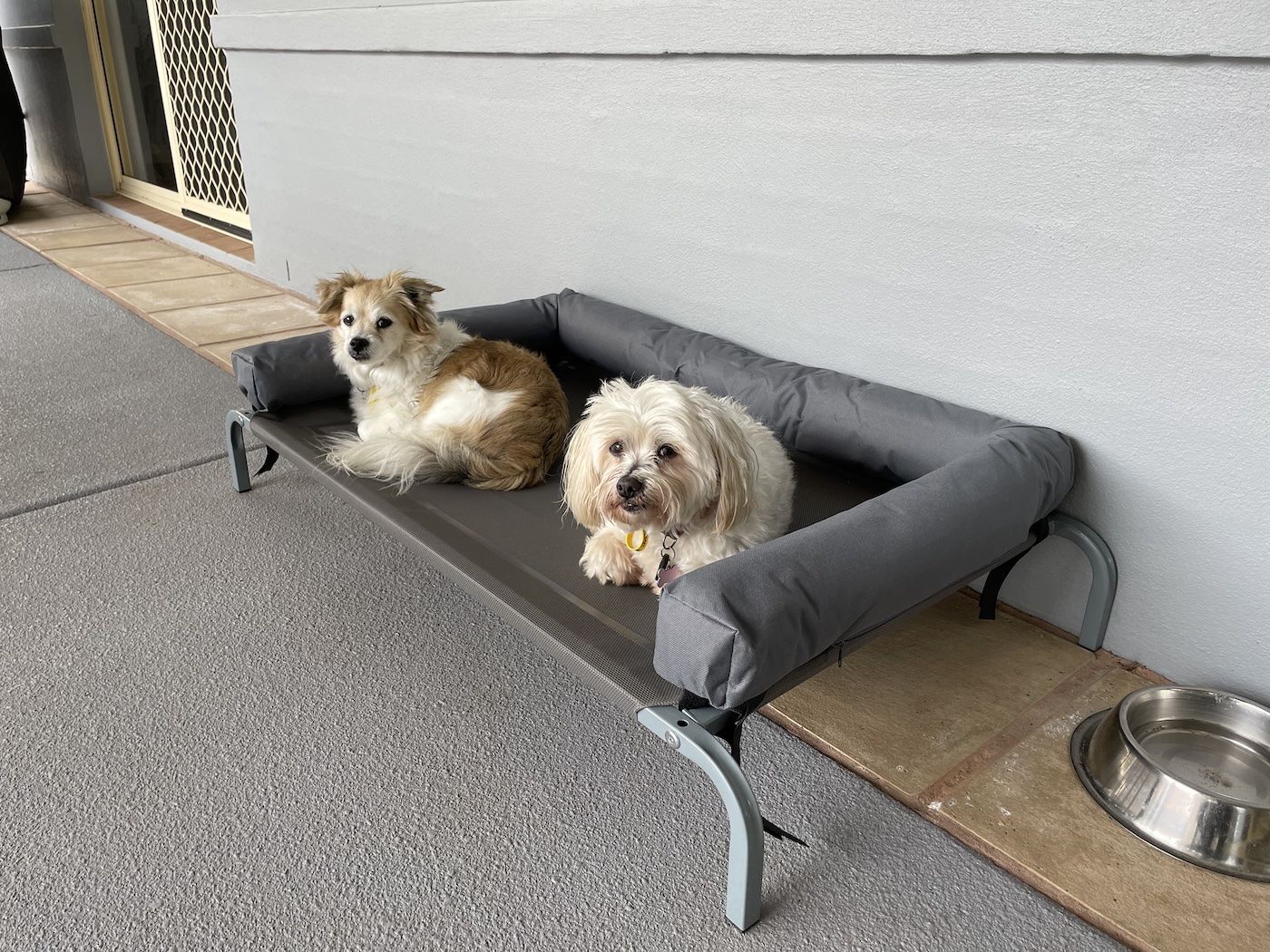 Customer photo review of PaWz Elevated Pet Trampoline