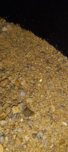 Customer photo review of *TROGO* Flawless '$5,000 GOLD NUGGET DISCOVERY' - Gold Panning Paydirt