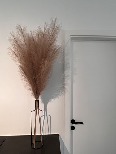 Fotorecensie van een klant over Pampas 110cm (3 stengels)- Natuurlijk Bruin
