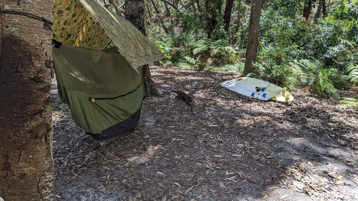 Customer photo review of 2mm Dyneema® Hardcord (Reflective)