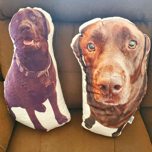 Customer photo review of Create A Custom Dog Pillow