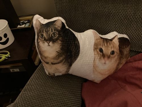 Customer photo review of Create A Custom Cat Pillow