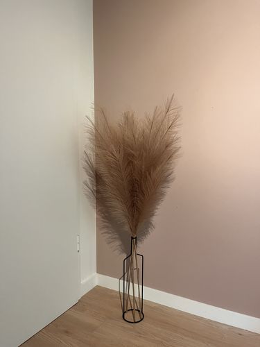Fotorecensie van een klant over Pampas 110cm (3 stengels)- Natuurlijk Bruin
