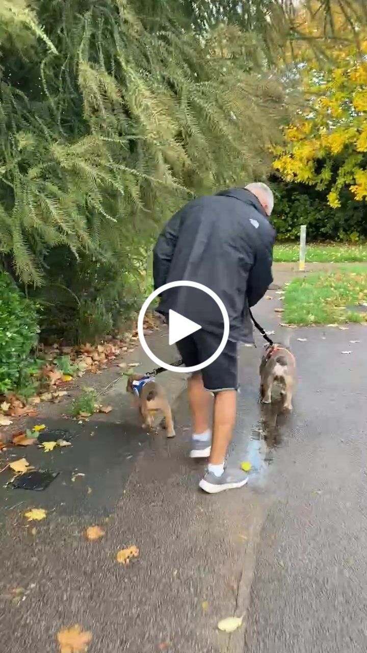 Customer video review of Double Ended Training Lead | All Breeds - Durable & Soft 2m Lead - Orange