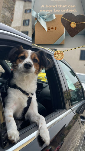 Customer photo review of Custom Love Necklace