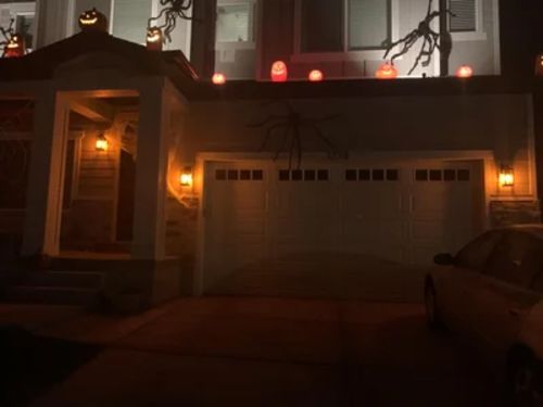 Customer photo review of 🔥LED Flame Effect Light Bulb With Gravity Sensing Effect🔥