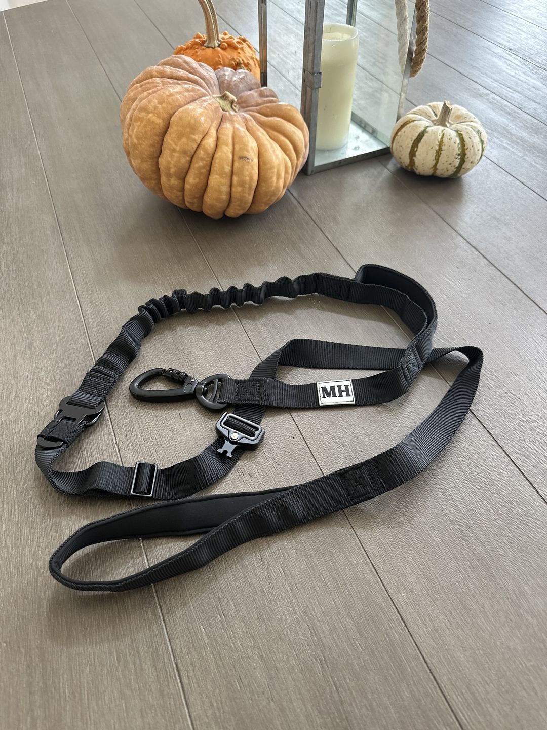 Customer photo review of Voyager Bungee Leash