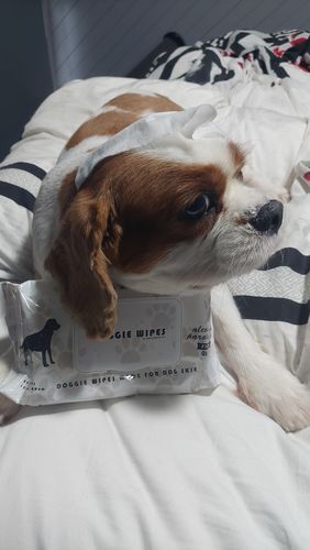 Customer photo review of Luxe Gift Pack