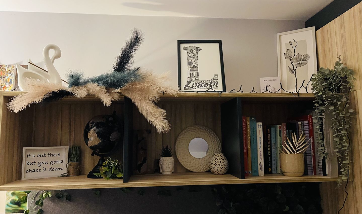 Customer photo review of Lincoln Print