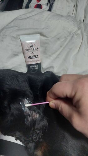 Customer photo review of Ditch the Itch Pack!