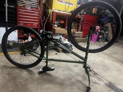 Customer photo review of Twenty9er BMX Bike