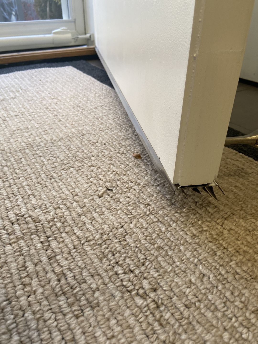 Customer photo review of 36" Pease Drive-On Fiberglass Door Sweep