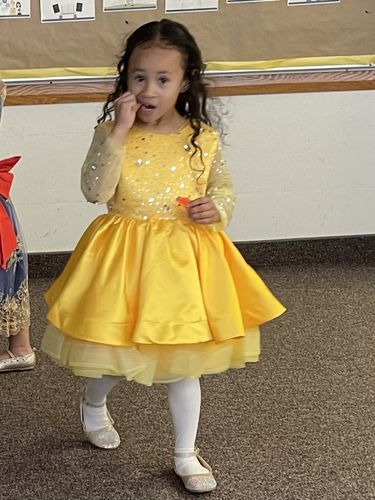 Customer photo review of Baby Girls Bow Puffy Birthday Party Princess Little Girl Dresses Dress Toddler Christmas Dress