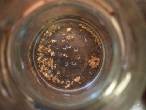 Customer photo review of *TROGO* Flawless '$5,000 GOLD NUGGET DISCOVERY' - Gold Panning Paydirt