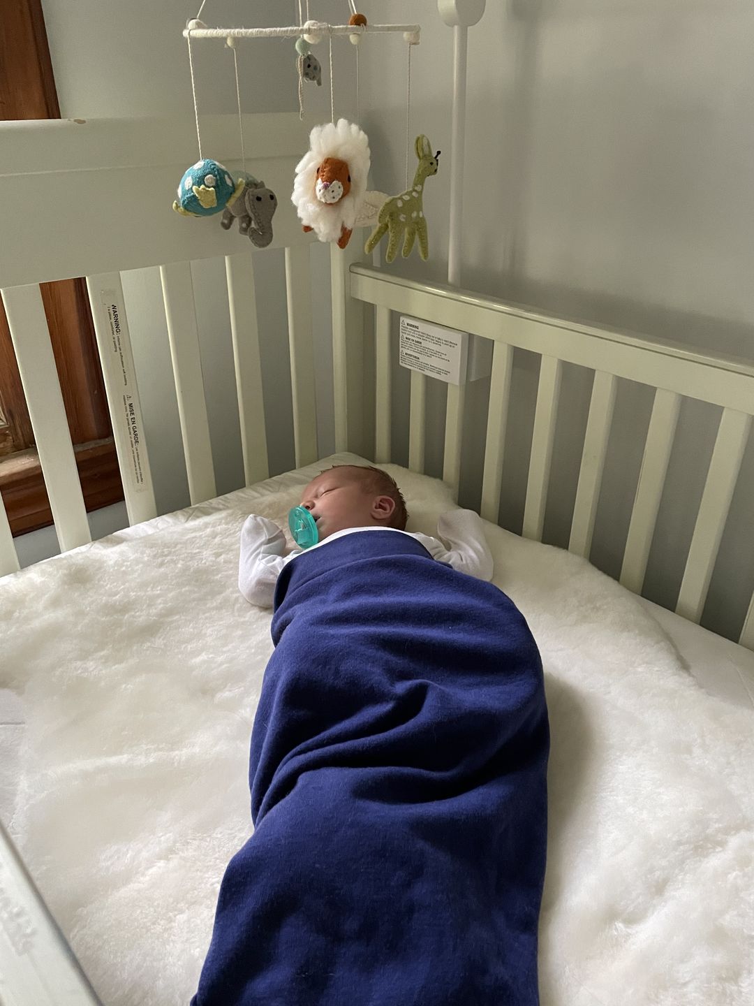 Customer photo review of adventure blanket