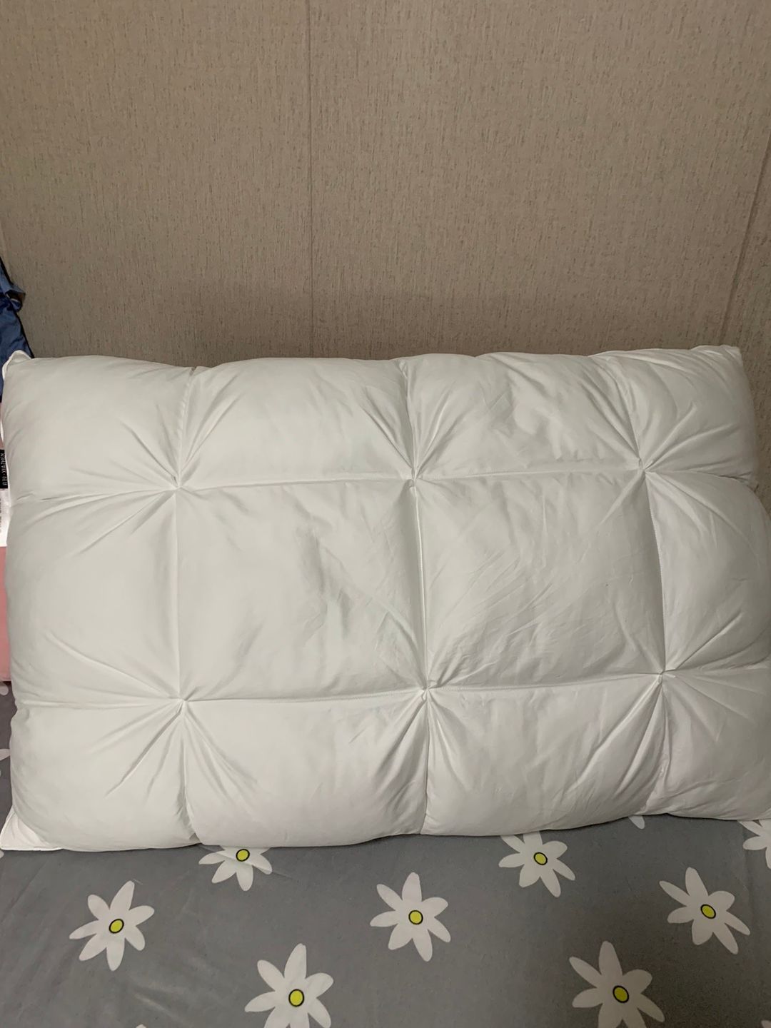 Customer photo review of Peterhanun Goose Down Pillow