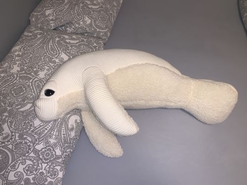 Customer photo review of The Manatee