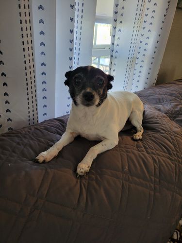 Customer photo review of Pink