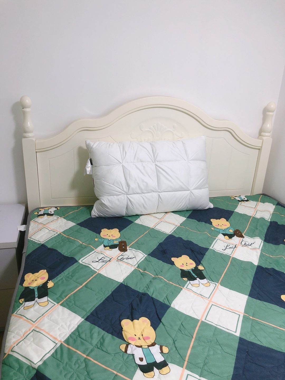 Customer photo review of Peterhanun Goose Down Pillow