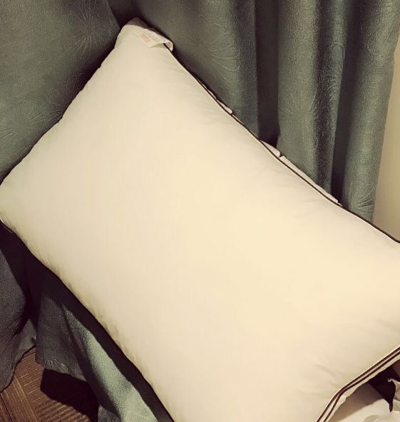 Customer photo review of Peterhanun Goose Down Pillow