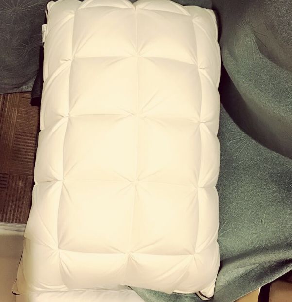 Customer photo review of Peterhanun Goose Down Pillow