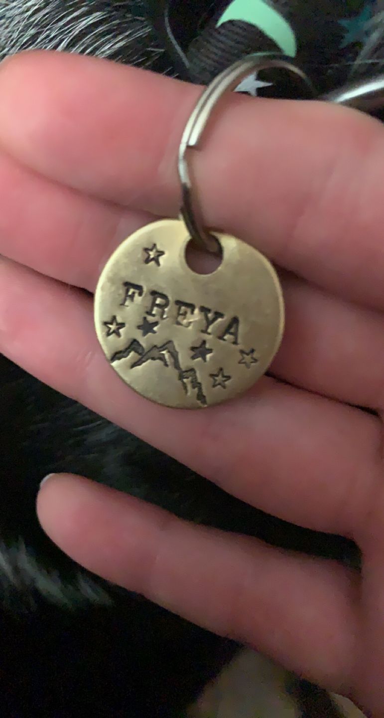 Customer photo review of Hand Stamped Pet ID Tag