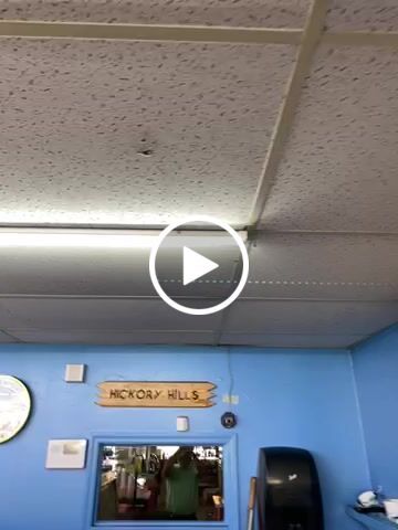 Customer video review of T8 8ft Integrated LED Tube Light 60W V Shape 6500K Clear, ETL Listed, Plug and Play, Linkable T8 8ft LED Bulbs for Garage, Warehouse, Shop