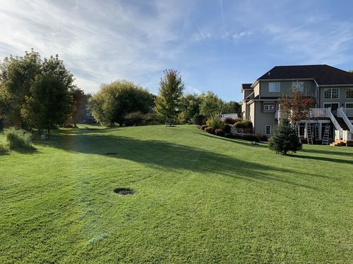 Customer photo review of Protene Performance Fall Fertilizer