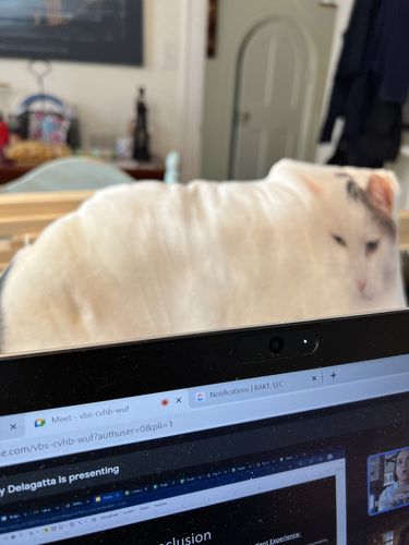 Customer photo review of Create A Custom Anything Pillow