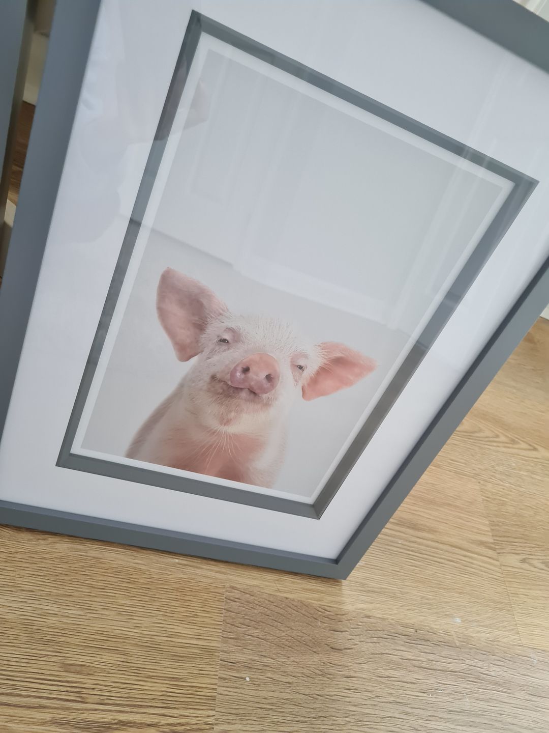Customer photo review of Piglet Art Print
