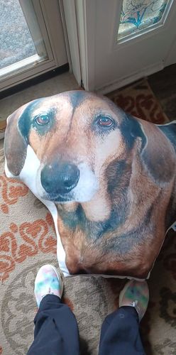 Customer photo review of Create A Custom Dog Pillow
