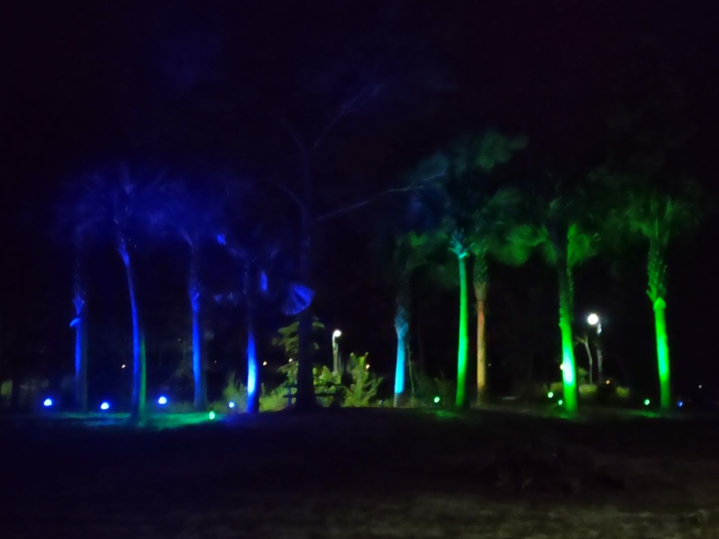 Customer photo review of TSUN Solar Landscape Spotlights