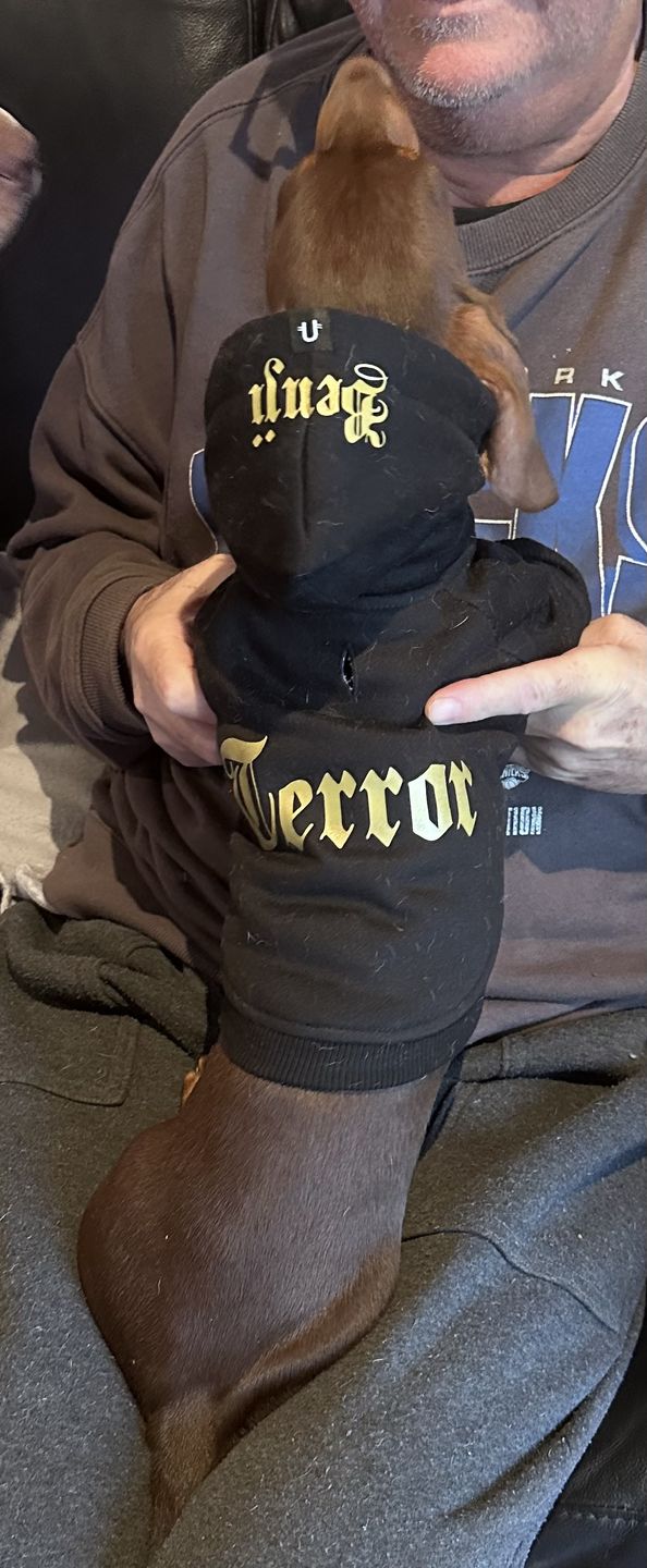 Customer photo review of Gangsta Yapper Dog Hoodie - Personalised